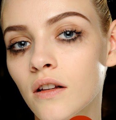 Lospeoreserroresdelinear2