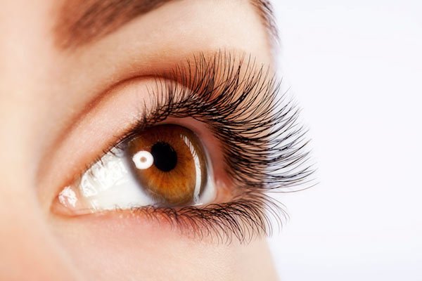 La Importancia de las Pestañas en el Maquillaje